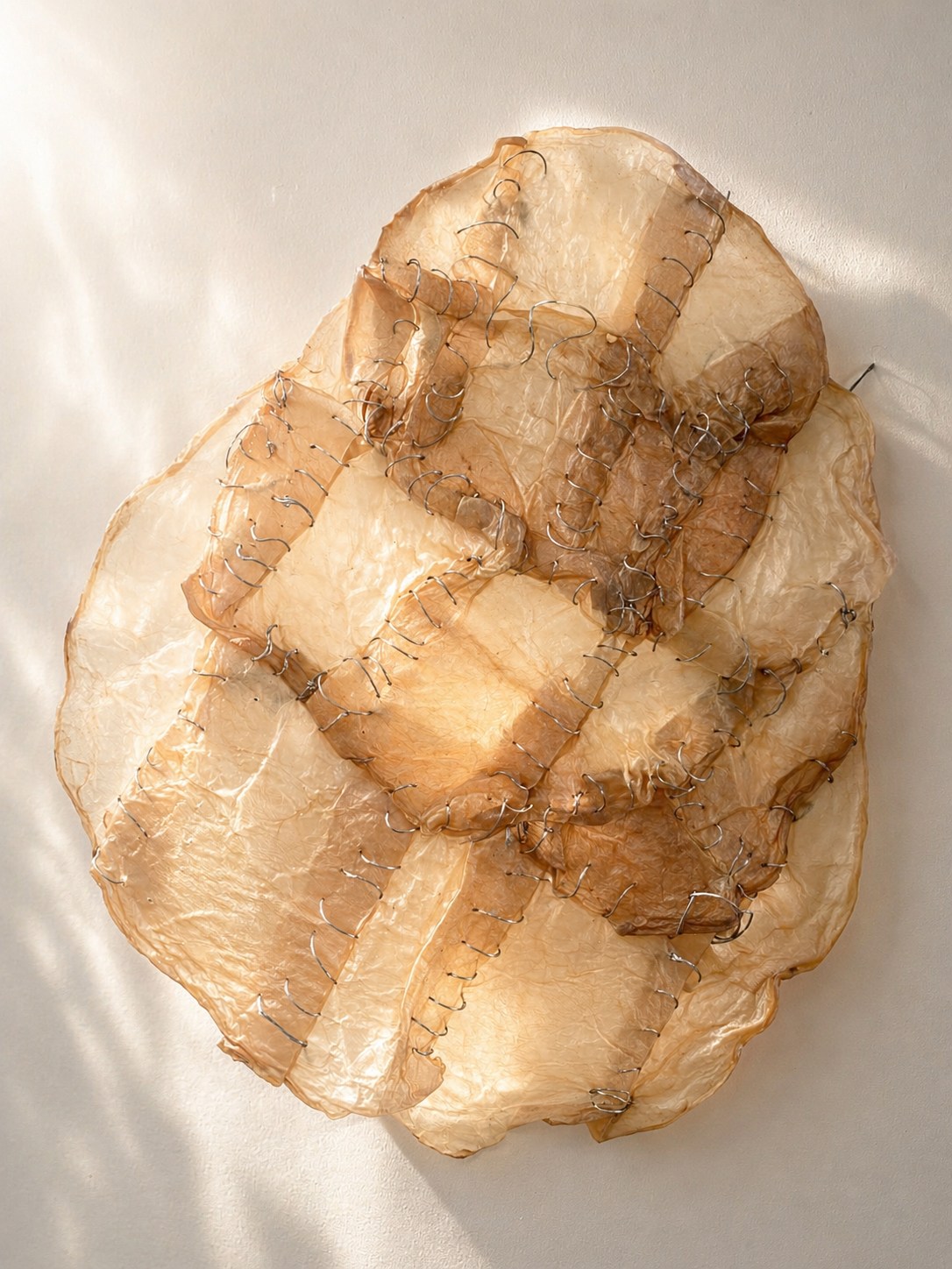 Scoby experiment 2. variáció