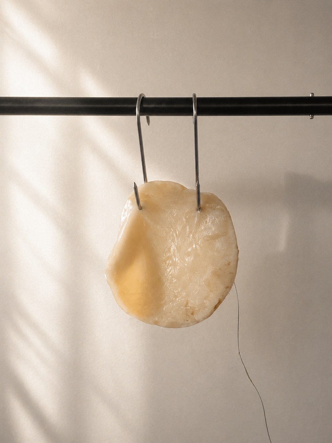 Scoby experiment 1. variáció